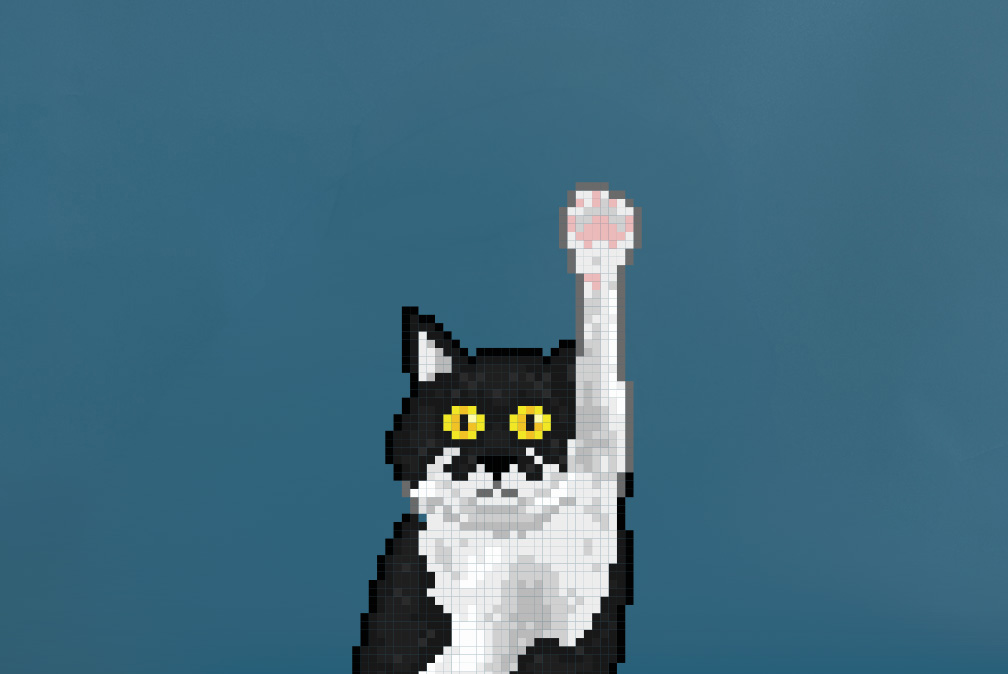 Pixel-Art-Illustration einer schwarz-weißen Katze, die eine Pfote in die Höhe streckt