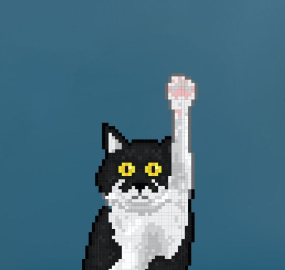 Pixel-Art-Illustration einer schwarz-weißen Katze, die eine Pfote in die Höhe streckt